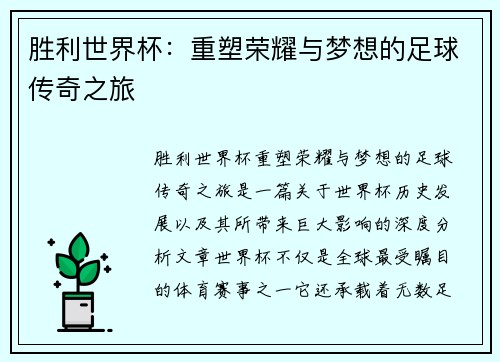 胜利世界杯：重塑荣耀与梦想的足球传奇之旅